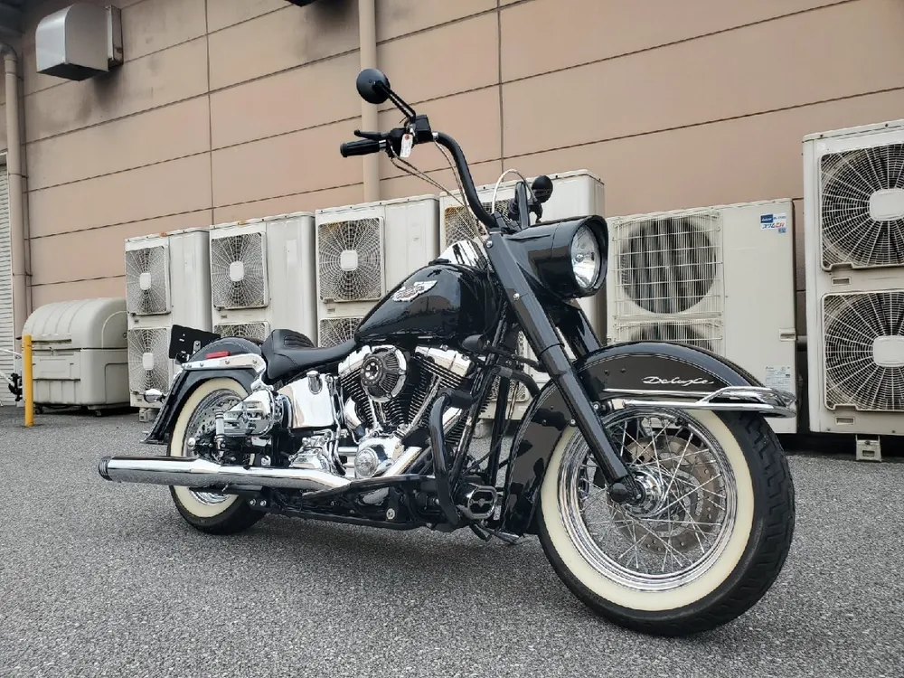 Harley-Davidson Softail Deluxe 2007, фото 3