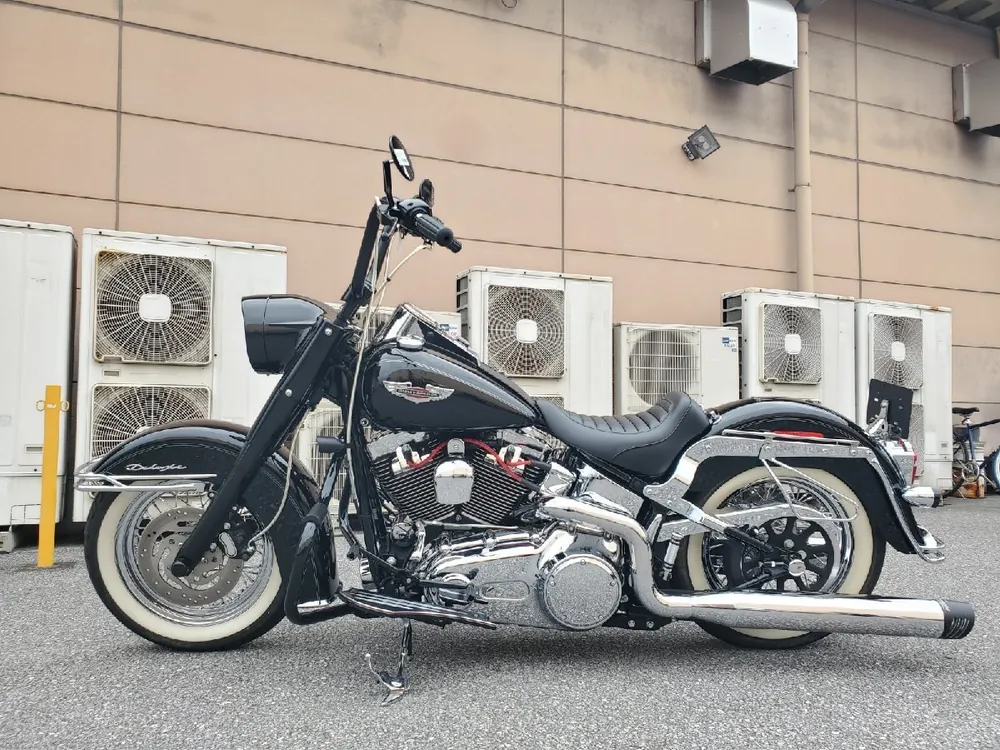 Harley-Davidson Softail Deluxe 2007, фото 5