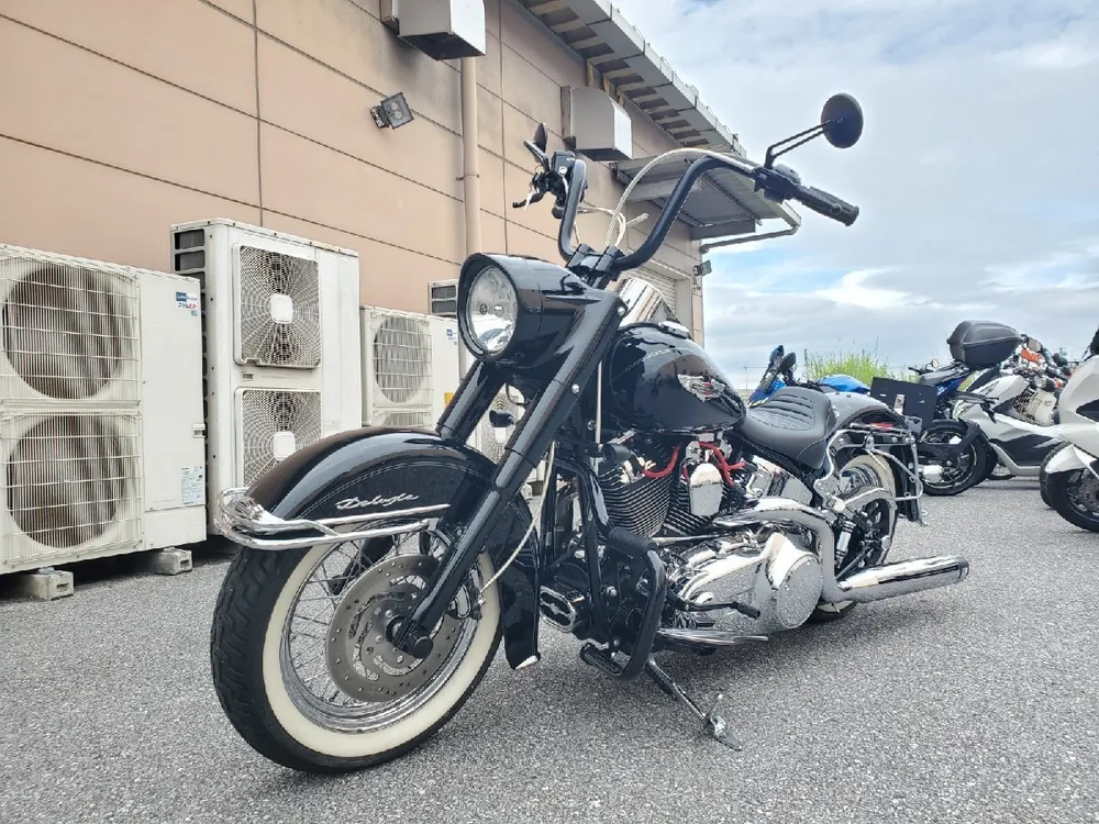 Harley-Davidson Softail Deluxe 2007, фото 6