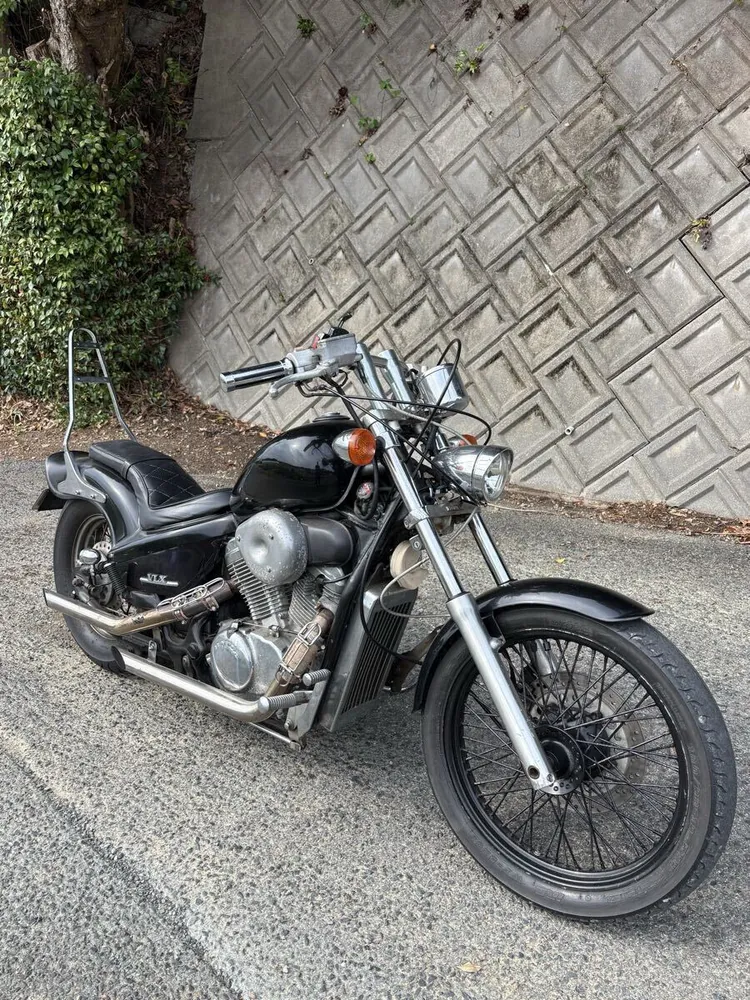 Honda Steed 400 1995, фото 3