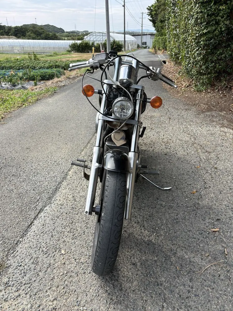 Honda Steed 400 1995, фото 4