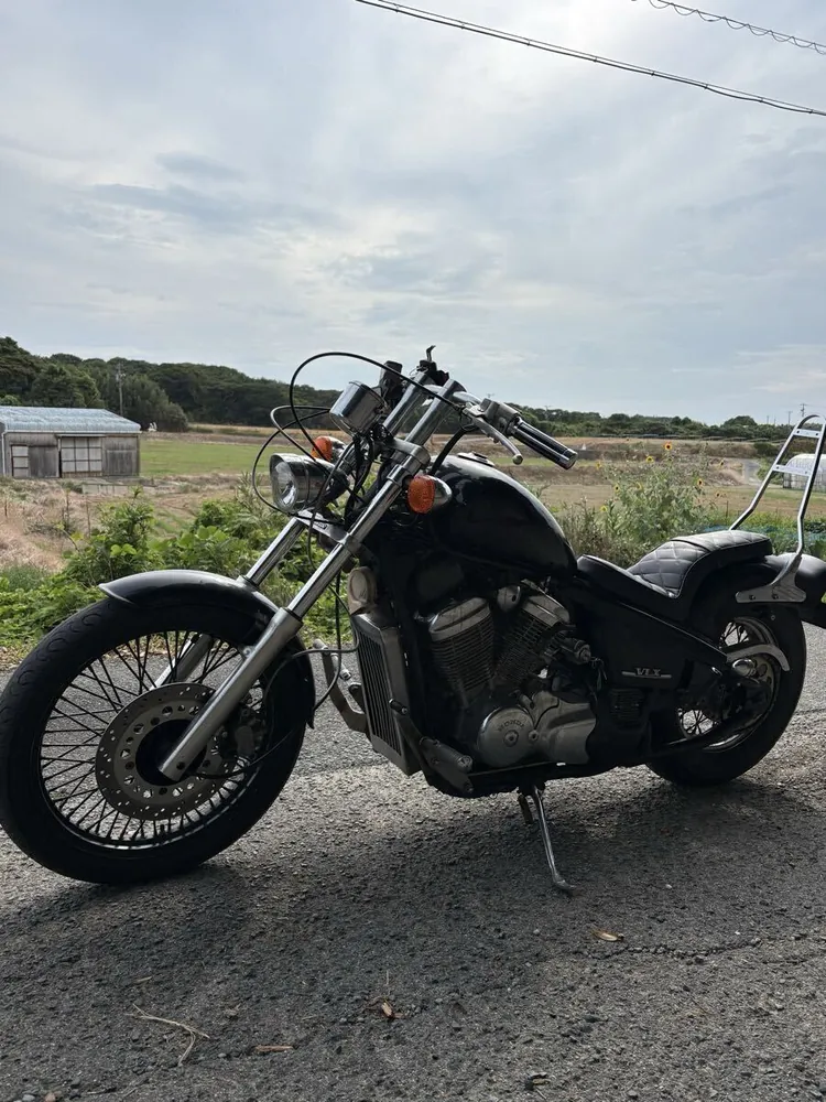 Honda Steed 400 1995, фото 5