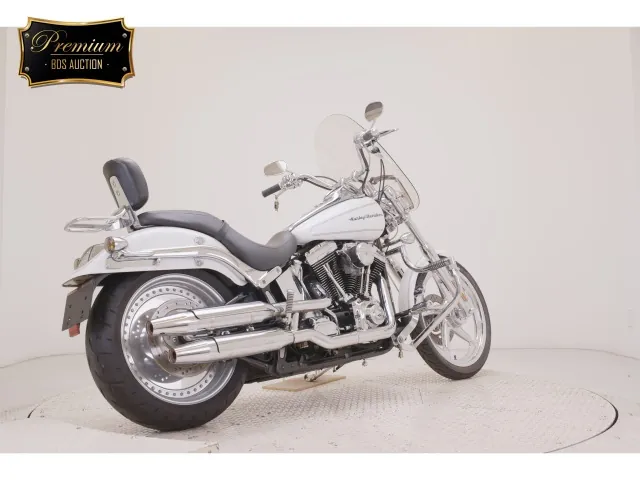 Harley-Davidson FXSTD1450 2004, белый, фото 5