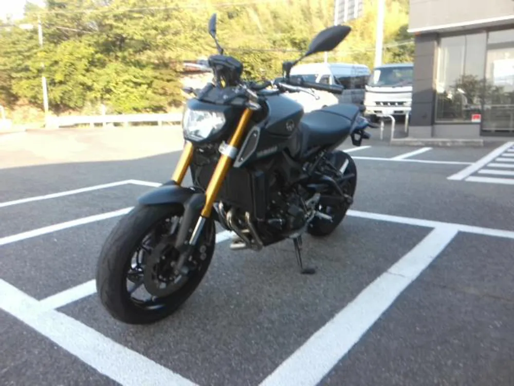 Yamaha MT-09 2015, mat gray, фото 4
