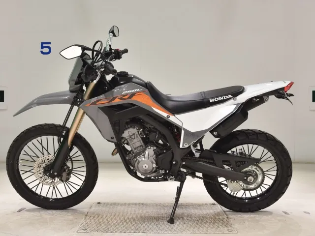 Honda CRF250 Rally, серый, фото 2