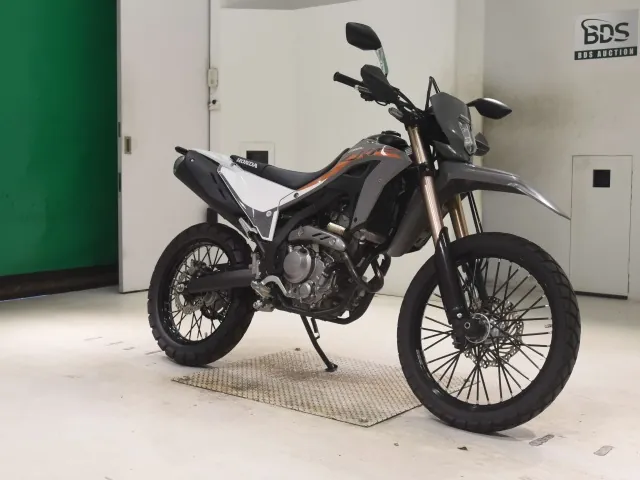 Honda CRF250 Rally, серый, фото 3