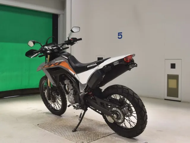 Honda CRF250 Rally, серый, фото 6