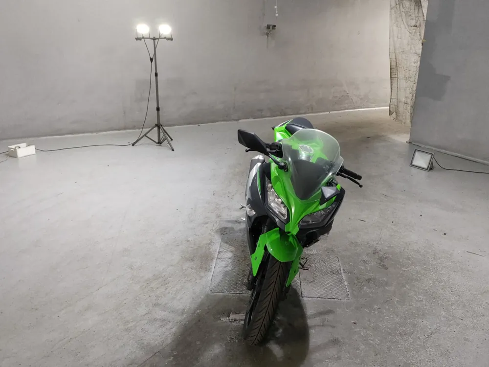 Kawasaki Ninja 250, зелёный, фото 3