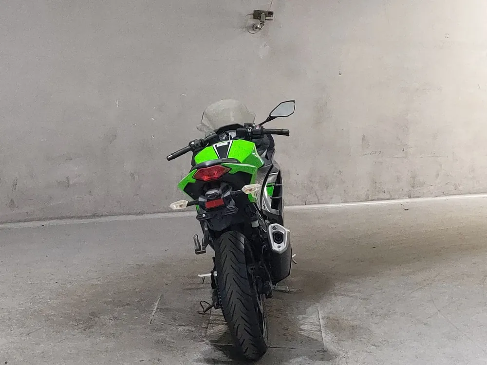 Kawasaki Ninja 250, зелёный, фото 4