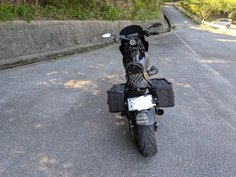 Harley-Davidson FXLRS 2022, фото 8