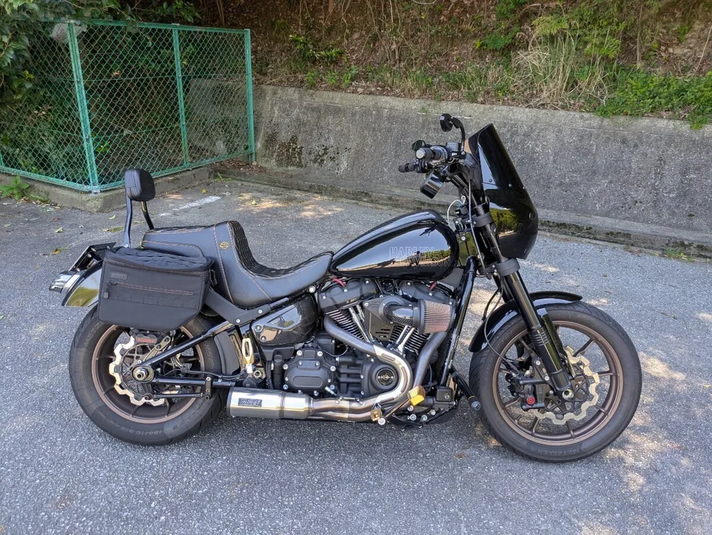 Harley-Davidson FXLRS 2022, фото 3