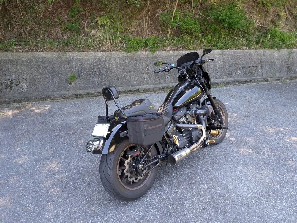 Harley-Davidson FXLRS 2022, фото 4