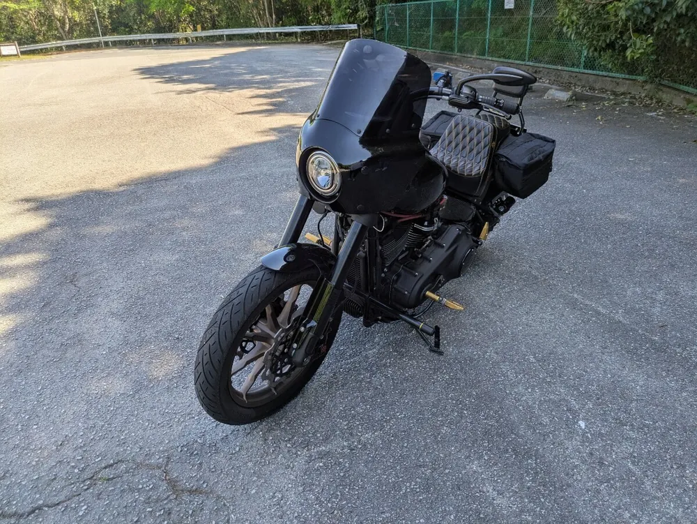 Harley-Davidson FXLRS 2022, фото 5