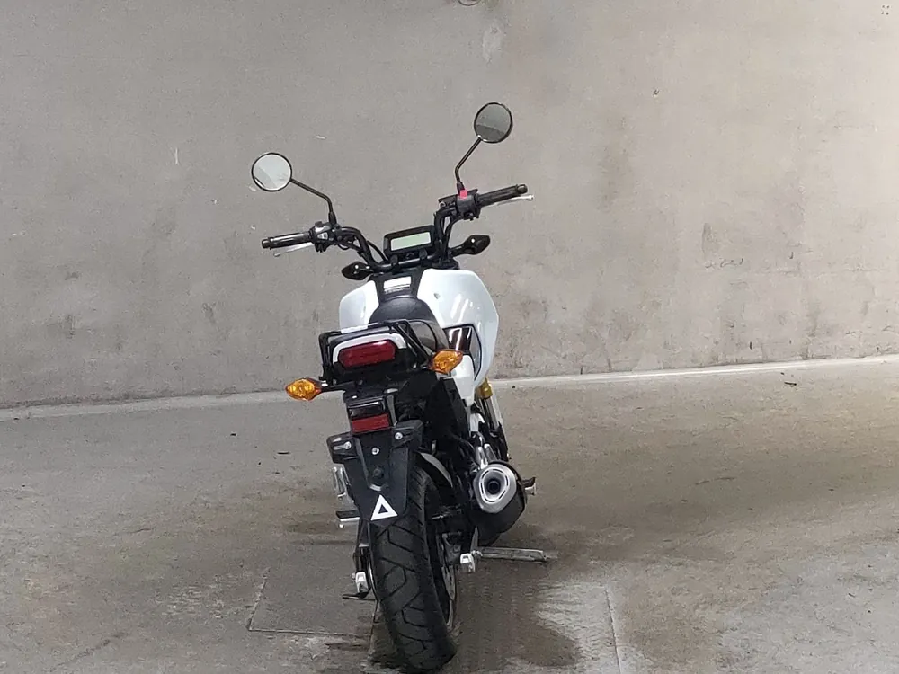 Honda Grom, белый, фото 4