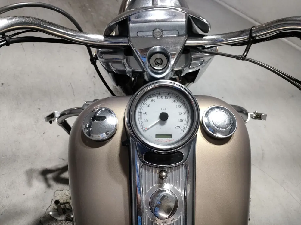 Harley-Davidson FLHRS1450 2004, серый, фото 5