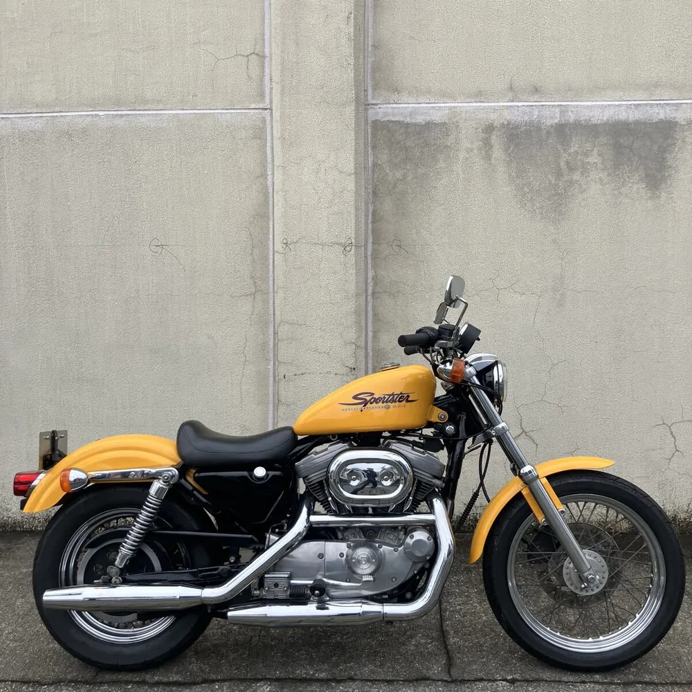 Harley-Davidson XLH883 2001, фото 3