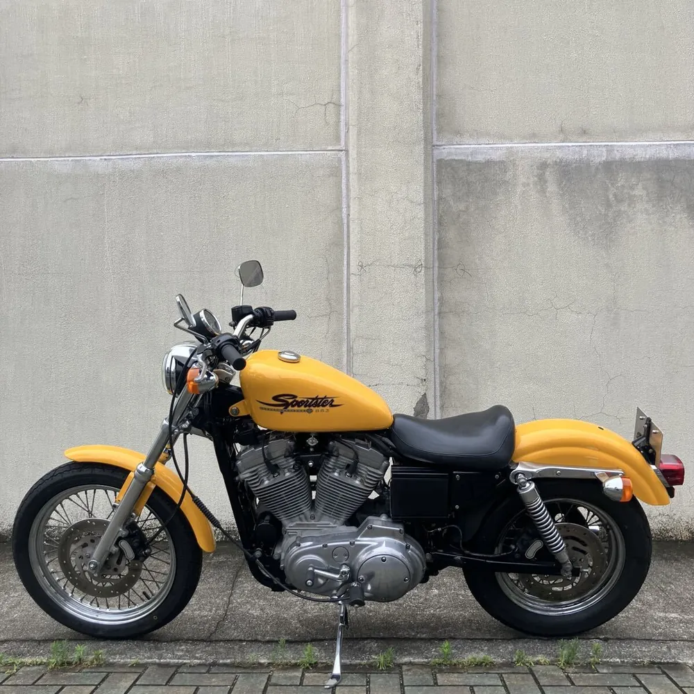 Harley-Davidson XLH883 2001, фото 5