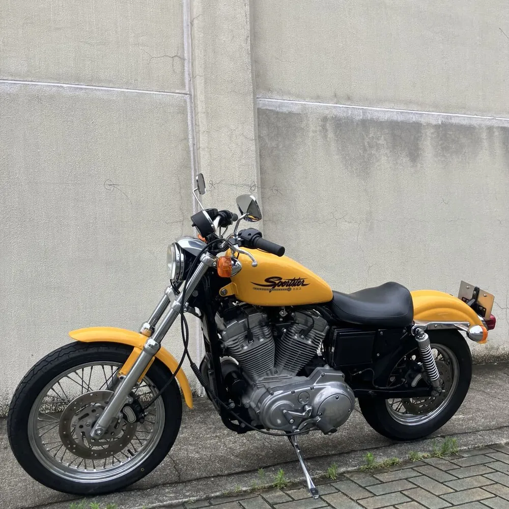 Harley-Davidson XLH883 2001, фото 6