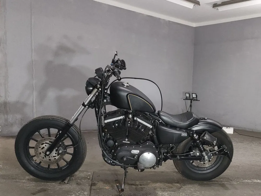 Harley-Davidson XL883N 2011, чёрный, фото 2