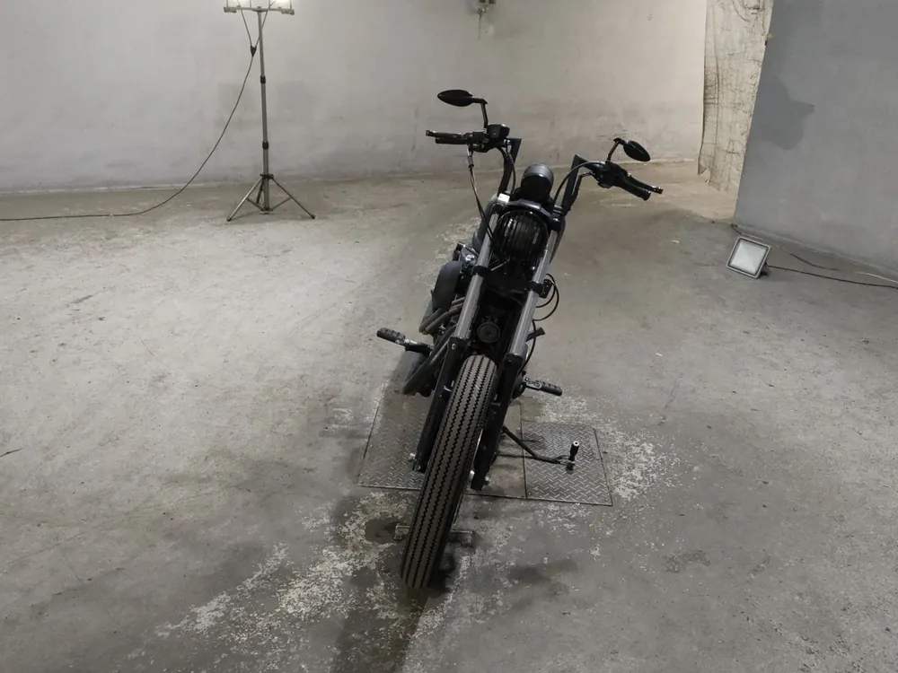 Harley-Davidson XL883N 2011, чёрный, фото 3