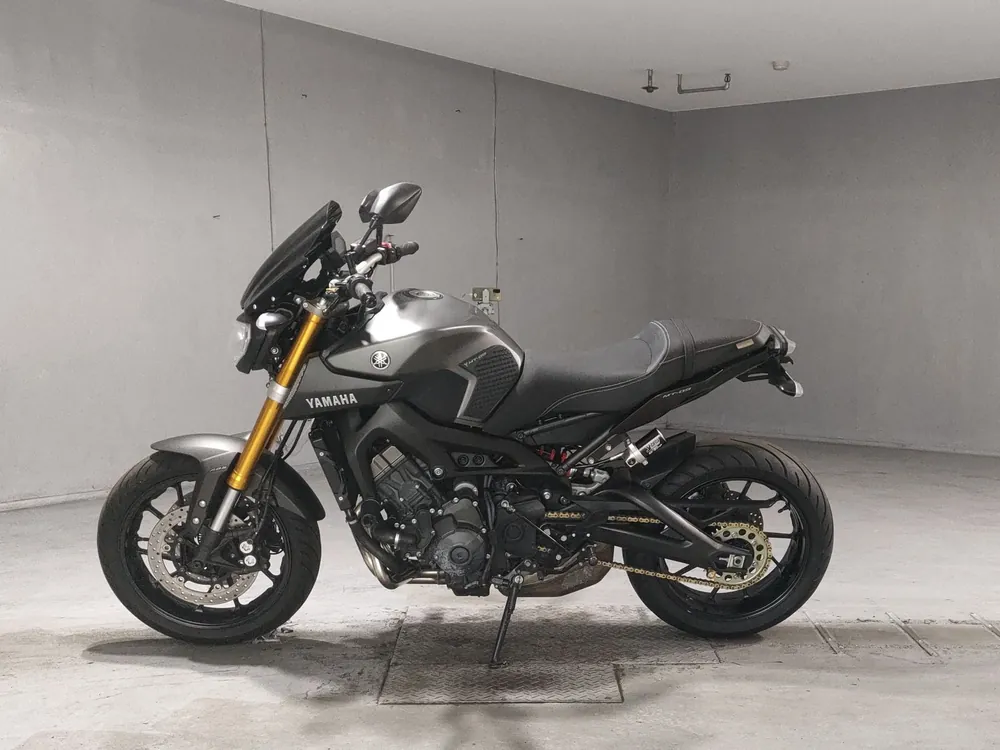 Yamaha MT-09 2015, серый, фото 2