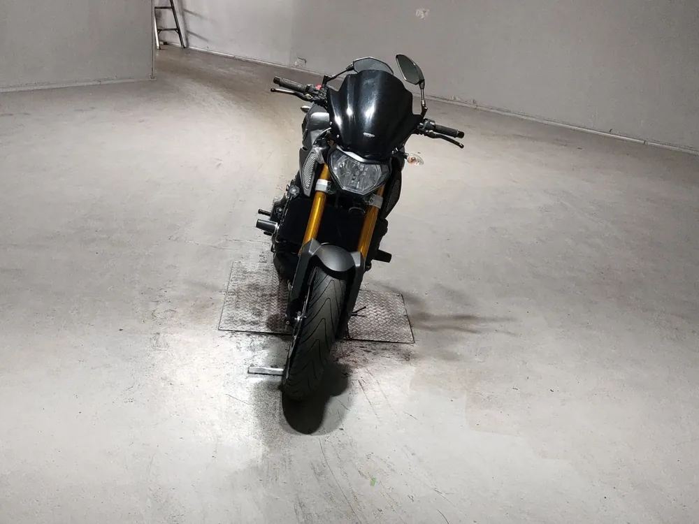 Yamaha MT-09 2015, серый, фото 3