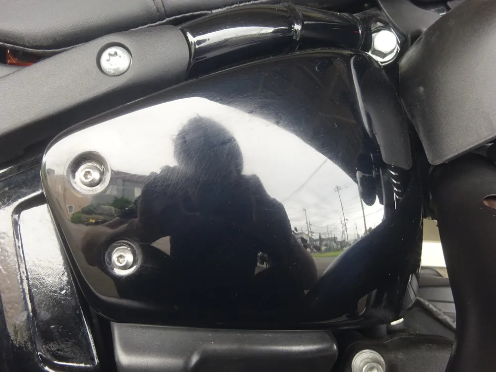 Harley-Davidson FXLRS 2024, чёрный, фото 20