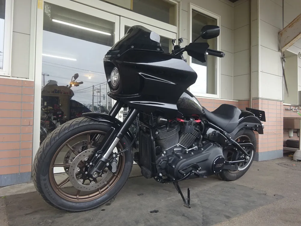 Harley-Davidson FXLRS 2024, чёрный, фото 5