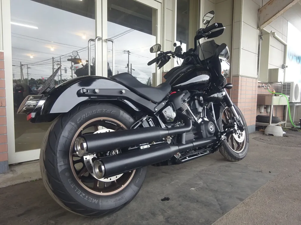 Harley-Davidson FXLRS 2024, чёрный, фото 8