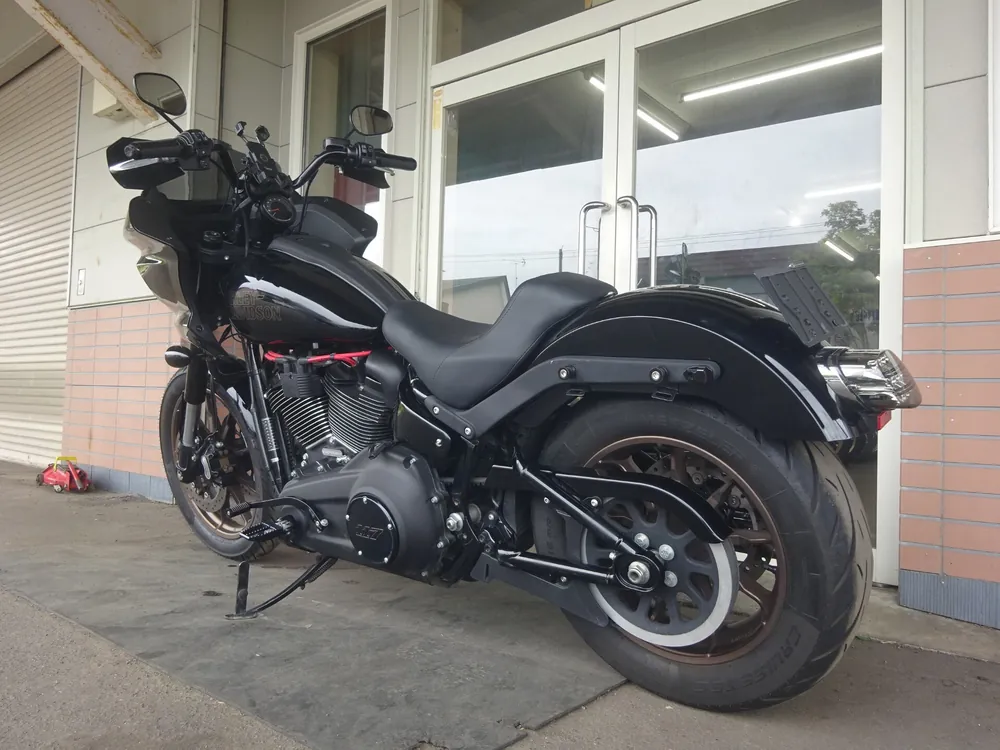 Harley-Davidson FXLRS 2024, чёрный, фото 9