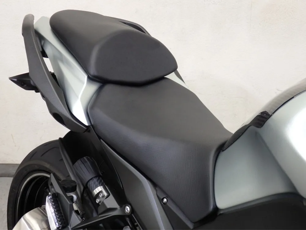 Kawasaki Ninja1000A 2018, серебристый, фото 19