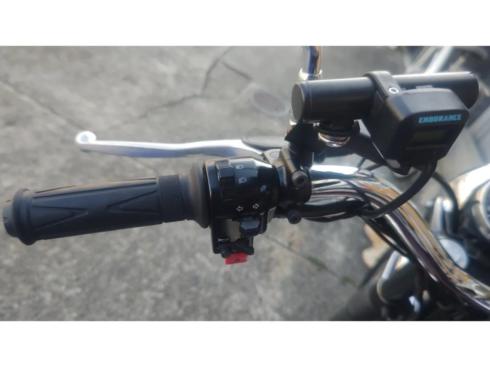 Kawasaki W650 2009, light brown, фото 10