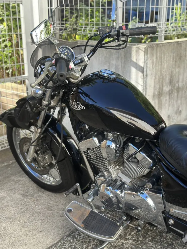 Yamaha Virago 250 1994, фото 8