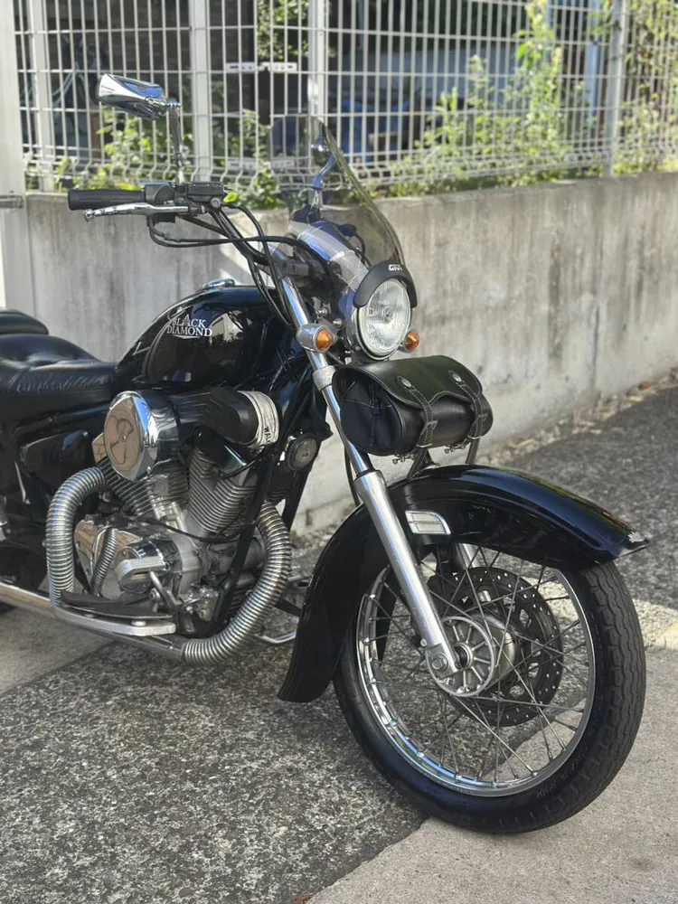 Yamaha Virago 250 1994, фото 3