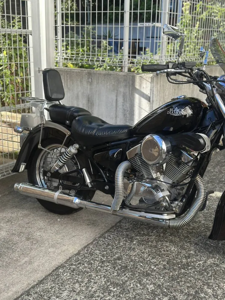 Yamaha Virago 250 1994, фото 4