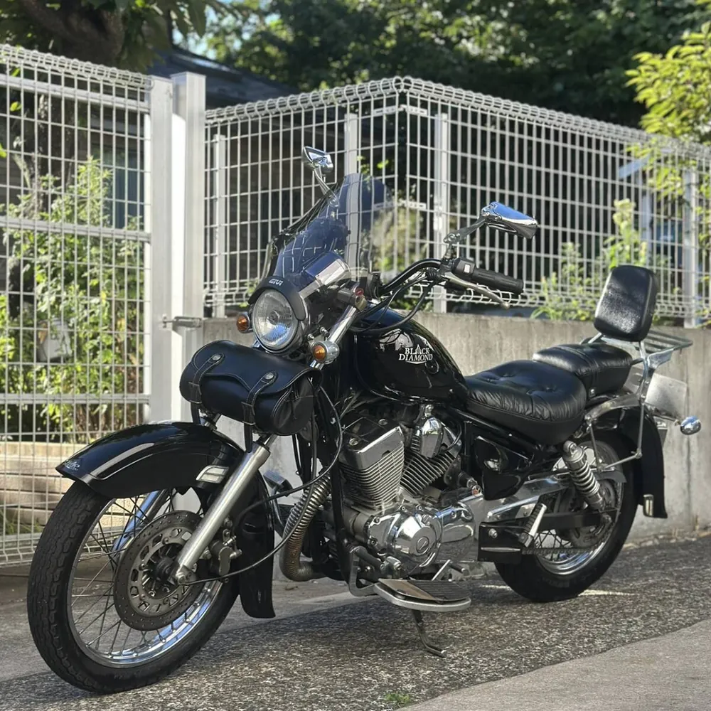 Yamaha Virago 250 1994, фото 6
