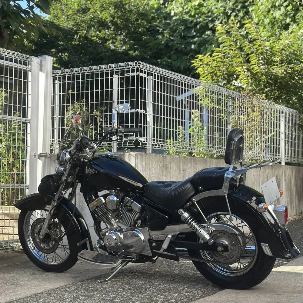Yamaha Virago 250 1994, фото 7