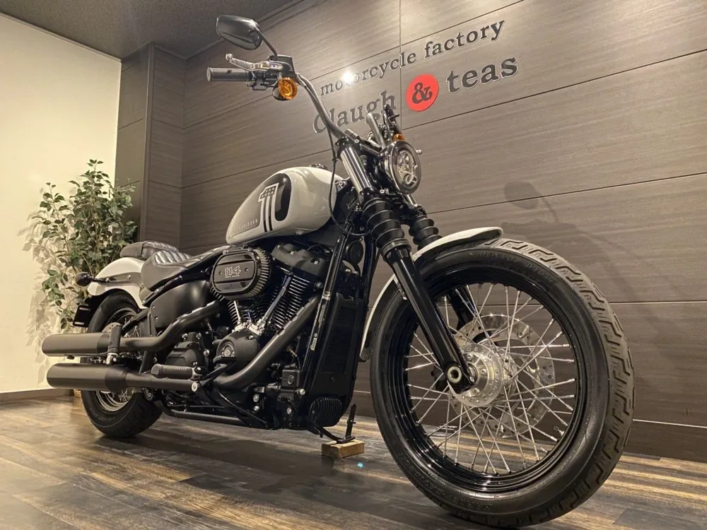 Harley-Davidson FXBBS 2021, белый, фото 2