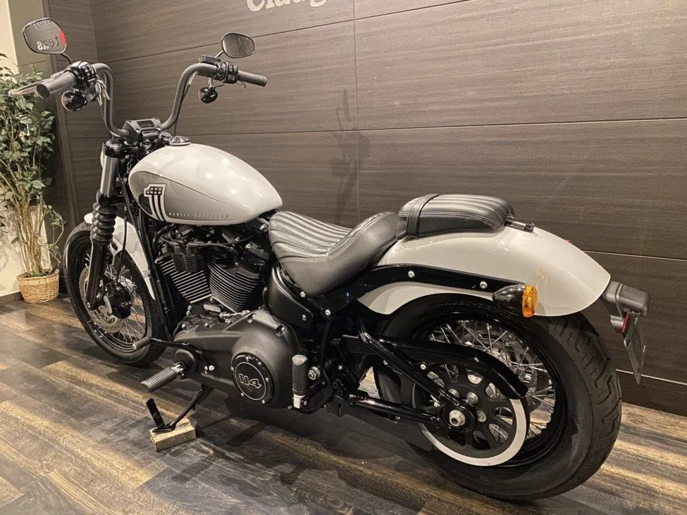 Harley-Davidson FXBBS 2021, белый, фото 11