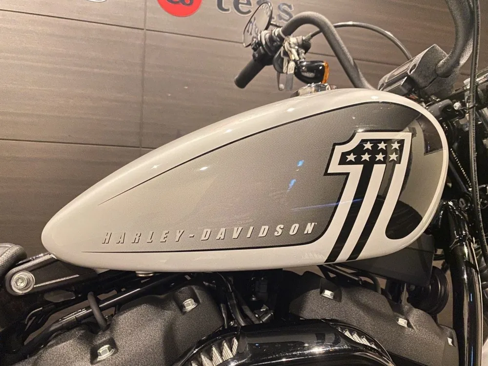 Harley-Davidson FXBBS 2021, белый, фото 5