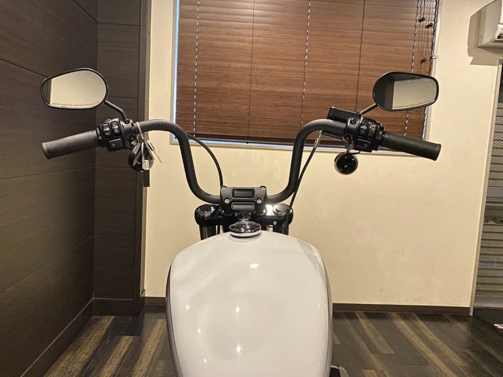 Harley-Davidson FXBBS 2021, белый, фото 6