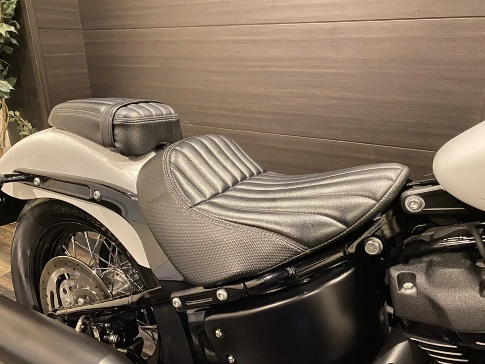 Harley-Davidson FXBBS 2021, белый, фото 7
