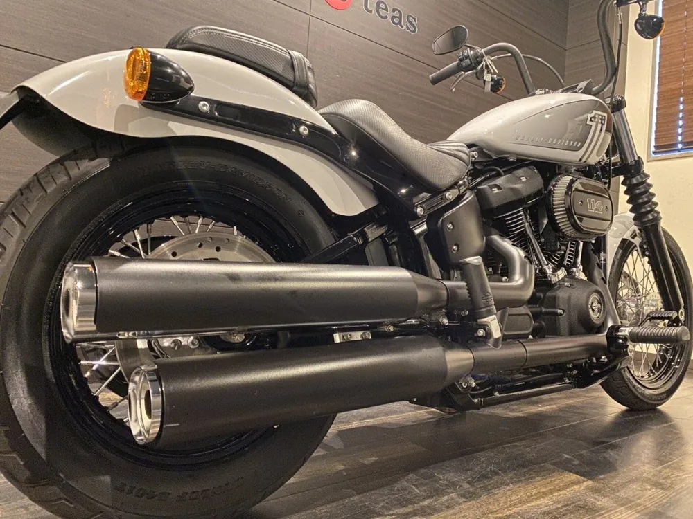 Harley-Davidson FXBBS 2021, белый, фото 8
