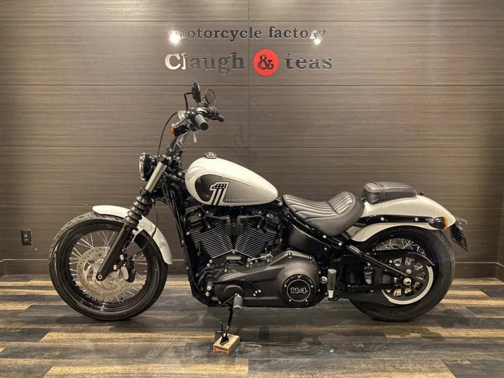 Harley-Davidson FXBBS 2021, белый, фото 9