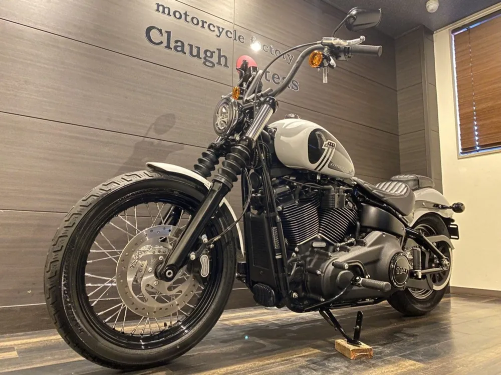 Harley-Davidson FXBBS 2021, белый, фото 10