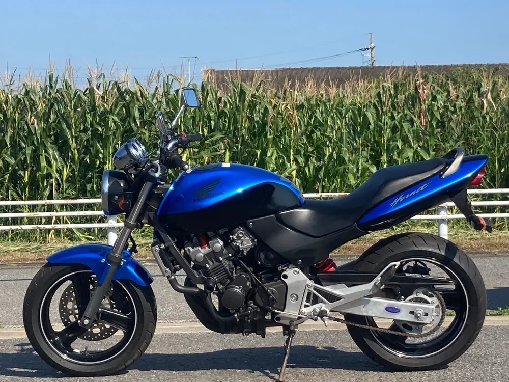 Honda Hornet 250, чёрный, синий, фото 2