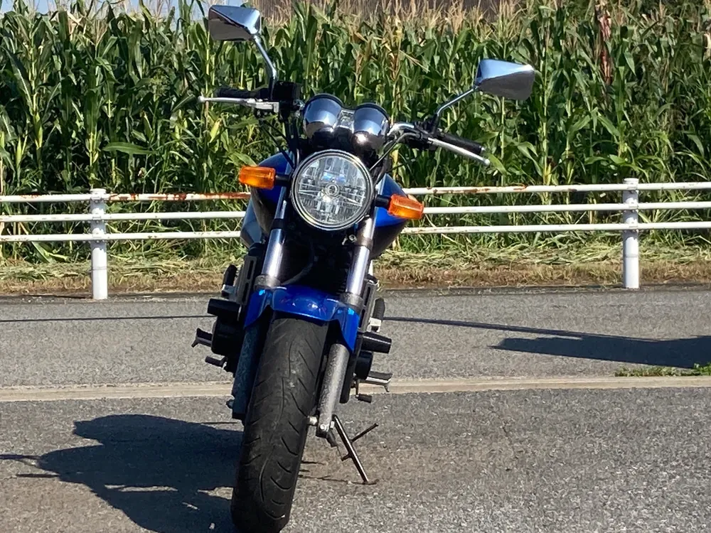 Honda Hornet 250, чёрный, синий, фото 3