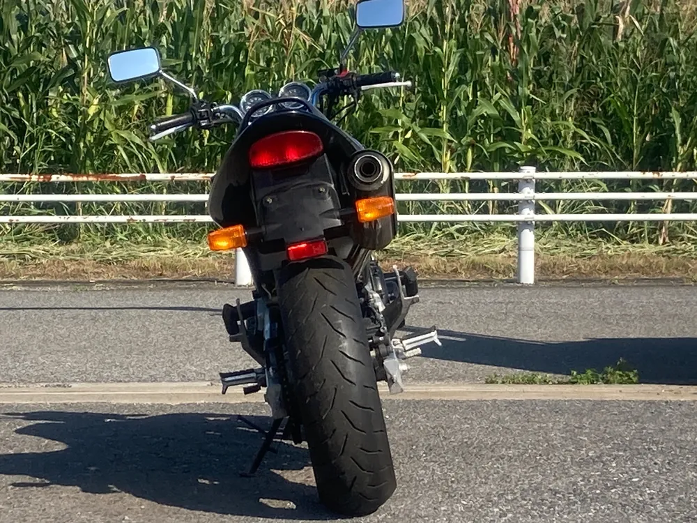 Honda Hornet 250, чёрный, синий, фото 4