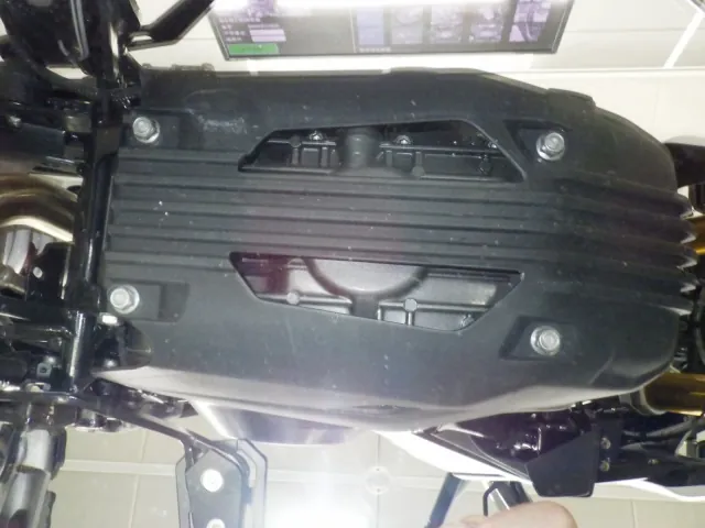 BMW G310Gs 2024, чёрный, фото 7