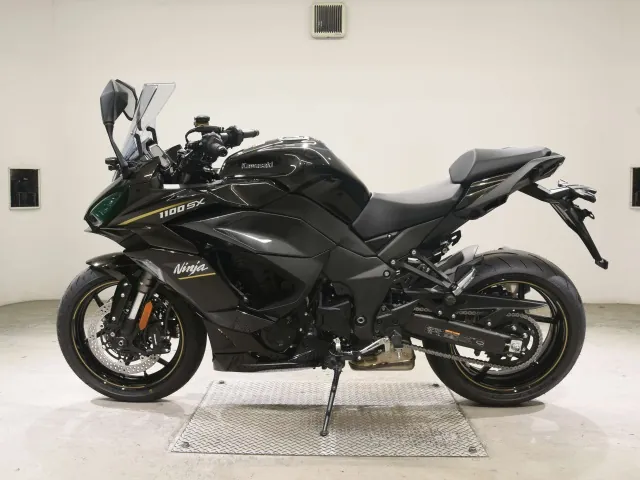 Kawasaki Ninja 1100SX 2026, light brown, фото 2